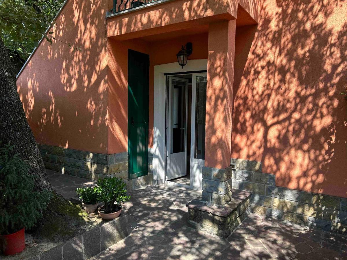 Ai 2 Olmi - Monolocali Nel Verde Muggia Exterior foto